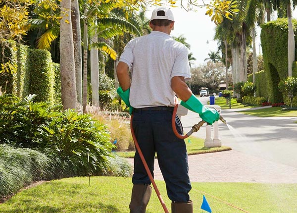 About Cordova TN Pest Control Pros